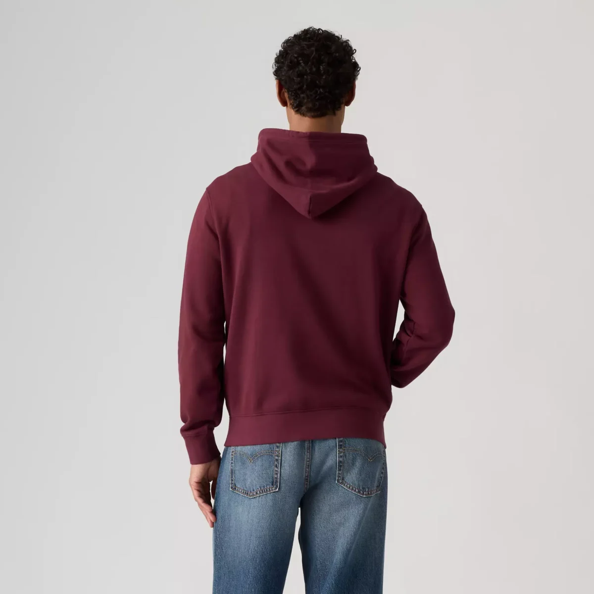 Levi's Ανδρικό Φούτερ THE ORIGINAL HM HOODIE PURPLES