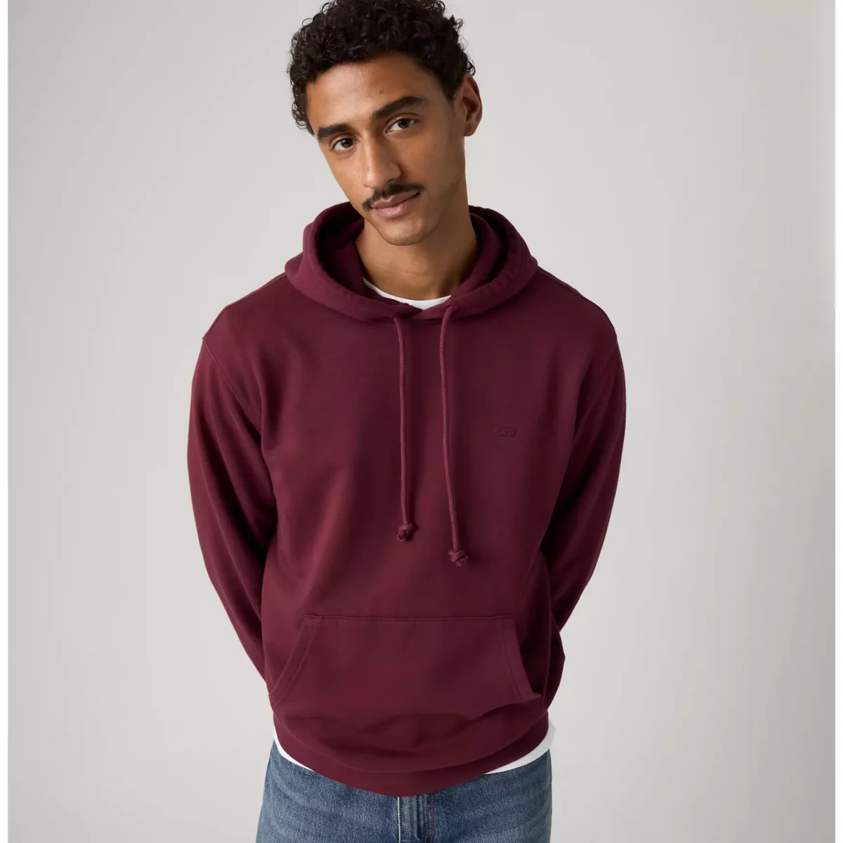 Levi's Ανδρικό Φούτερ THE ORIGINAL HM HOODIE PURPLES